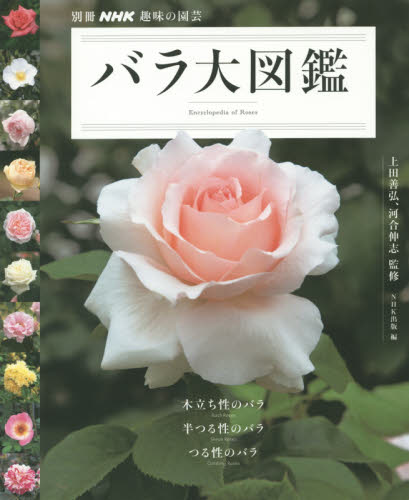 バラ大図鑑 (別冊NHK趣味の園芸) 上田善弘/監修 河合伸志/監修 NHK出版/編 観葉植物の本の商品画像