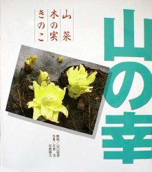 山の幸 山菜BEST65・木の実BEST45・きのこBEST50 改装版 山口昭彦/解説 木原浩/写真 平野隆久/写真 林業の本の商品画像