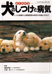 よくわかる犬のしつけと病気　しつけ訓練から健康管理・病気の知識と手当て 磯部　芳郎　他 犬の本の商品画像