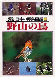 日本の野鳥図鑑　名前といわれ　１ （マチュア選書） 国松俊英／文 学習読み物その他の商品画像