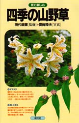 四季の山野草 （フィールドガイド） 夏梅陸夫／写真 植物学一般の本の商品画像