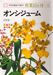 オンシジューム (NHK趣味の園芸・作業12か月 41) 江尻光一/著 NHK趣味の園芸テキストの商品画像