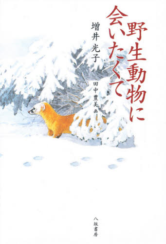 野生動物に会いたくて 増井光子/著 動物学一般の本の商品画像