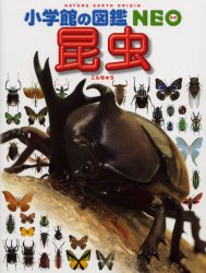 昆虫 (小学館の図鑑NEO 3) 小池啓一/〔ほか〕指導・執筆