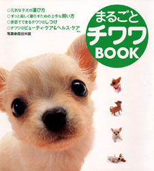 まるごとチワワＢＯＯＫ 森田米雄／写真 犬の本の商品画像