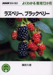 ラズベリー、ブラックベリー (NHK趣味の園芸 よくわかる栽培12か月) 国武久登/著 NHK趣味の園芸テキストの商品画像