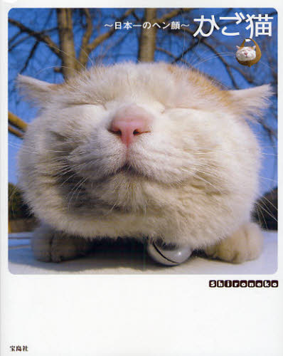 かご猫　日本一のヘン顔 Ｓｈｉｒｏｎｅｋｏ／著 ペット写真集の商品画像