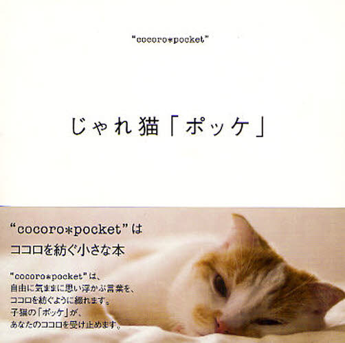 じゃれ猫「ポッケ」 （ｃｏｃｏｒｏ＊ｐｏｃｋｅｔ） 飯塚水葉／写真 ペット写真集の商品画像