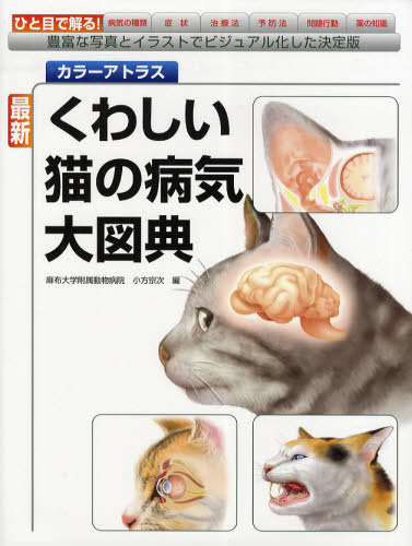 最新くわしい猫の病気大図典　カラーアトラス　豊富な写真とイラストでビジュアル化した決定版 （カラーアトラス） 小方宗次／編 獣医学の本の商品画像