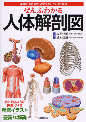 ぜんぶわかる人体解剖図 系統別・部位別にわかりやすくビジュアル解説 坂井建雄/著 橋本尚詞/著 家庭医学の本その他の商品画像