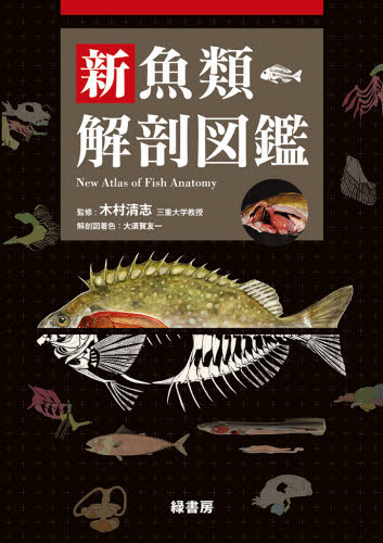 新魚類解剖図鑑 木村清志／監修 生物学一般の本の商品画像