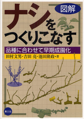 図解ナシをつくりこなす 品種に合わせて早期成園化 田村文男/著 吉田亮/著 池田隆政/著 農学(作物)の本の商品画像