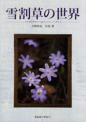 雪割草の世界 （アクアライフの本） 大野好弘／写真・著 フィールド図鑑の商品画像