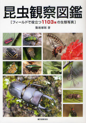 昆虫観察図鑑　フィールドで役立つ１１０３種の生態写真 （フィールドで役立つ１１０３種の生態写真） 築地琢郎／著 フィールド図鑑の商品画像