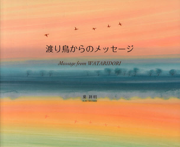 渡り鳥からのメッセージ 葉祥明/作・絵 教養新書の本その他の商品画像