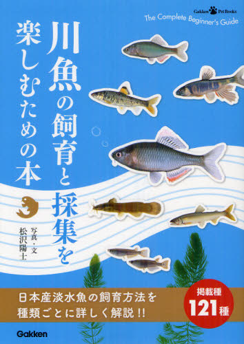 川魚の飼育と採集を楽しむための本 （Ｇａｋｋｅｎ　Ｐｅｔ　Ｂｏｏｋｓ） 松沢陽士／写真・文