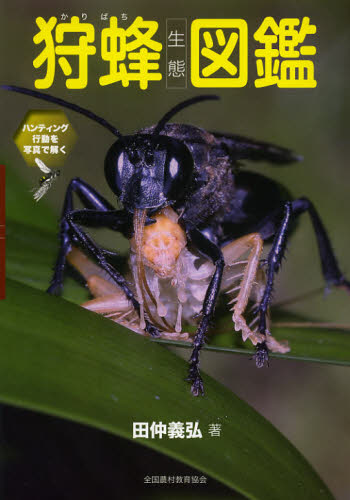 狩蜂生態図鑑　ハンティング行動を写真で解く 田仲義弘／著 動物生態学の本の商品画像