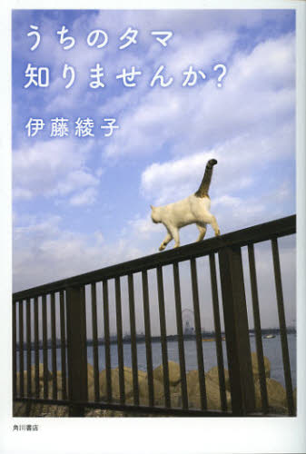 うちのタマ知りませんか？ 伊藤綾子／著 日本文学書籍全般の商品画像