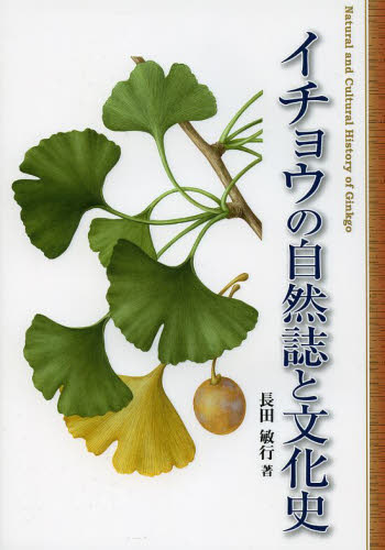 イチョウの自然誌と文化史 長田敏行／著 植物学一般の本の商品画像