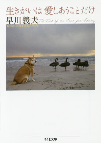 生きがいは愛しあうことだけ （ちくま文庫　は４２－３） 早川義夫／著 ちくま文庫の本の商品画像