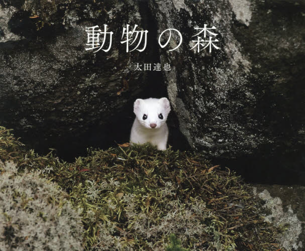 動物の森 太田達也/著 ネーチャー写真集の商品画像