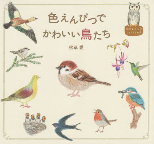 色えんぴつでかわいい鳥たち （はじめてのＬｅｓｓｏｎ） 秋草愛／著 絵画技法の本の商品画像