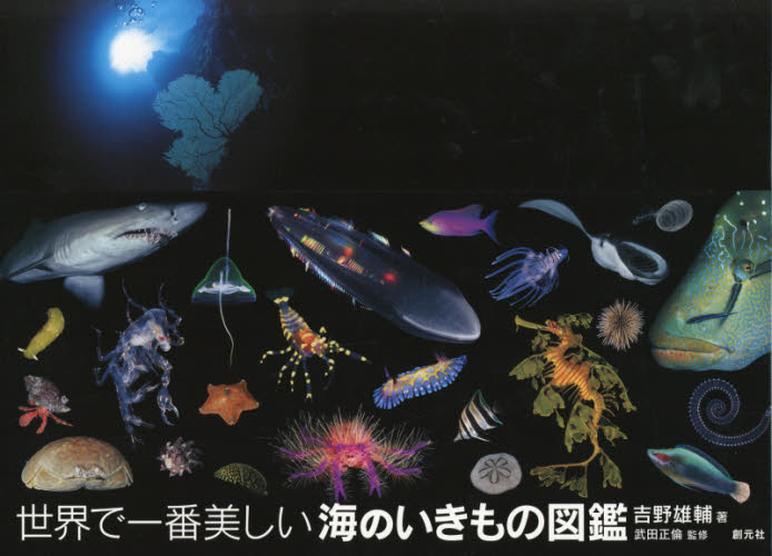 世界で一番美しい海のいきもの図鑑 吉野雄輔/著 武田正倫/監修 ネーチャー写真集の商品画像