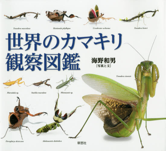 世界のカマキリ観察図鑑 海野和男/写真と文 フィールド図鑑の商品画像