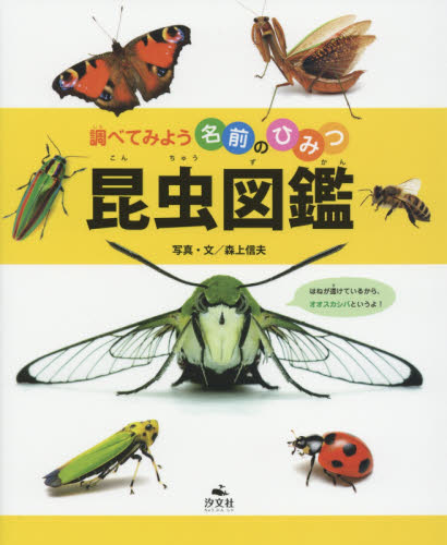昆虫図鑑 （調べてみよう名前のひみつ） 森上信夫／写真・文 学習読み物その他の商品画像
