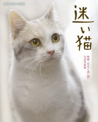 迷い猫　映画「先生と迷い猫」公式写真集 関由香／撮影　中岡美樹／撮影 ペット写真集の商品画像