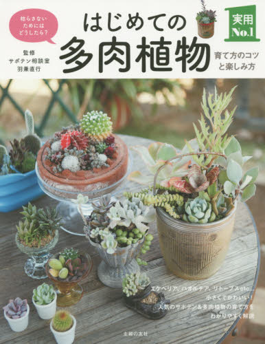はじめての多肉植物 育て方のコツと楽しみ方 枯らさないためにはどうしたら? (実用No.1) 羽兼直行/監修 観葉植物の本の商品画像