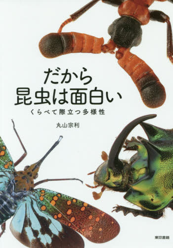 だから昆虫は面白い　くらべて際立つ多様性 丸山宗利／著 動物生態学の本の商品画像