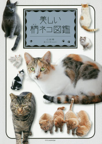 美しい柄ネコ図鑑 小林希／著 ビジュアルブック本の商品画像