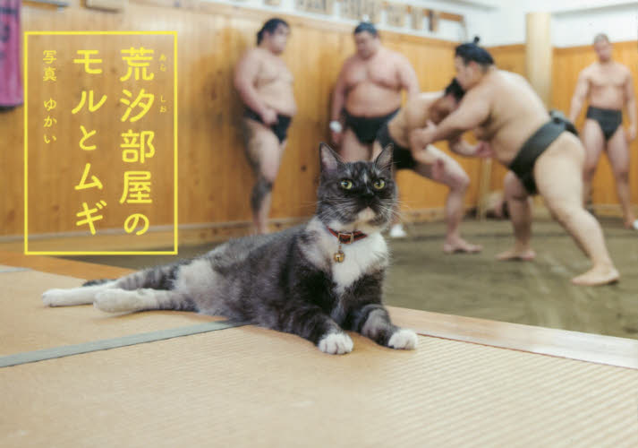 荒汐部屋のモルとムギ ゆかい/写真 ペット写真集の商品画像