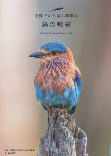 世界でいちばん素敵な鳥の教室 森山晋平/文 斉藤安行/監修 ビジュアルブック本の商品画像