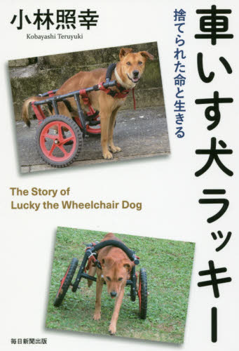車いす犬ラッキー　捨てられた命と生きる 小林照幸／著 ノンフィクション書籍その他の商品画像