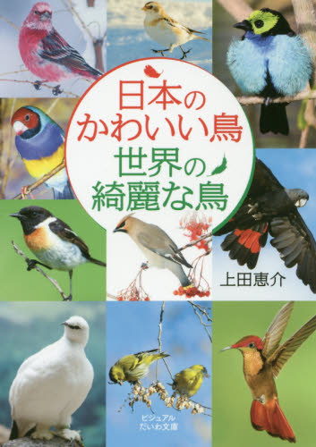 日本のかわいい鳥世界の綺麗な鳥 （ビジュアルだいわ文庫　０１９Ｊ） 上田恵介／著 雑学文庫の本その他の商品画像