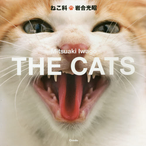ねこ科 岩合光昭/著 ペット写真集の商品画像