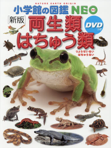 両生類・はちゅう類 (小学館の図鑑NEO 6) (新版) 松井正文/監修・執筆 疋田努/監修・執筆 太田英利/監修・執筆 学習図鑑その他の商品画像