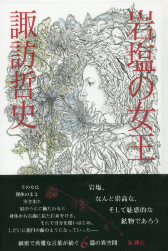 岩塩の女王 諏訪哲史／著 日本文学書籍全般の商品画像