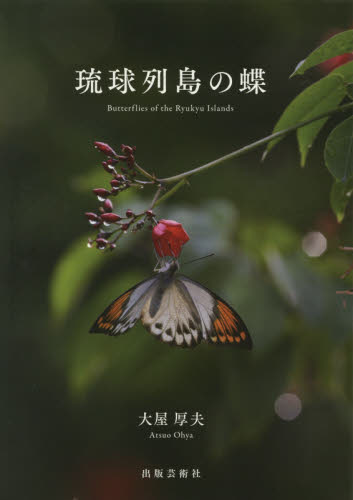 琉球列島の蝶 大屋厚夫／著 動物学一般の本の商品画像