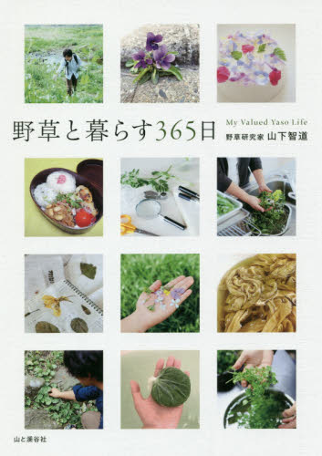 野草と暮らす３６５日 山下智道／著 フィールド図鑑の商品画像