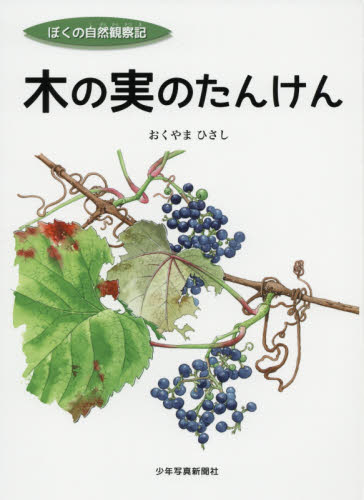 木の実のたんけん (ぼくの自然観察記) おくやまひさし/著 学習読み物その他の商品画像