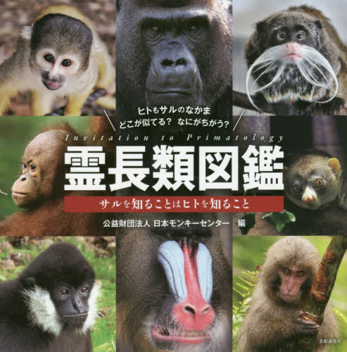 霊長類図鑑　サルを知ることはヒトを知ること 日本モンキーセンター／編 動物学一般の本の商品画像