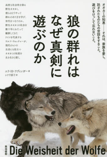 狼の群れはなぜ真剣に遊ぶのか エリ・Ｈ・ラディンガー／著　シドラ房子／訳 動物生態学の本の商品画像