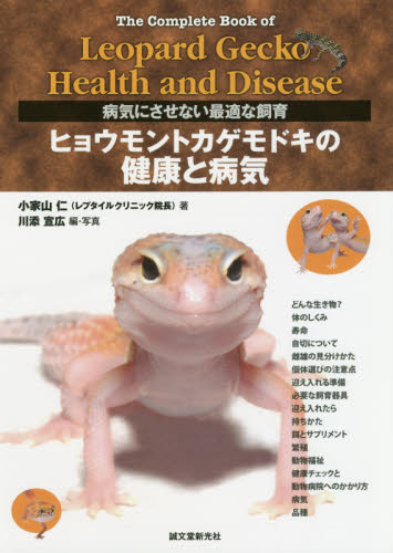 ヒョウモントカゲモドキの健康と病気 病気にさせない最適な飼育 (病気にさせない最適な飼育) 小家山仁/著 川添宣広/編・写真 ペットの本その他の商品画像