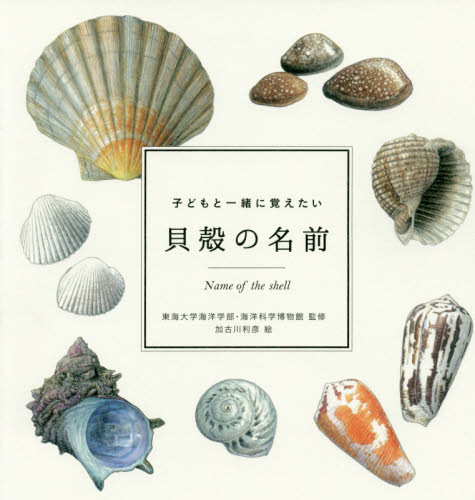 子どもと一緒に覚えたい貝殻の名前 (momo book) 東海大学海洋学部/監修 海洋科学博物館/監修 加古川利彦/絵 フィールド図鑑の商品画像