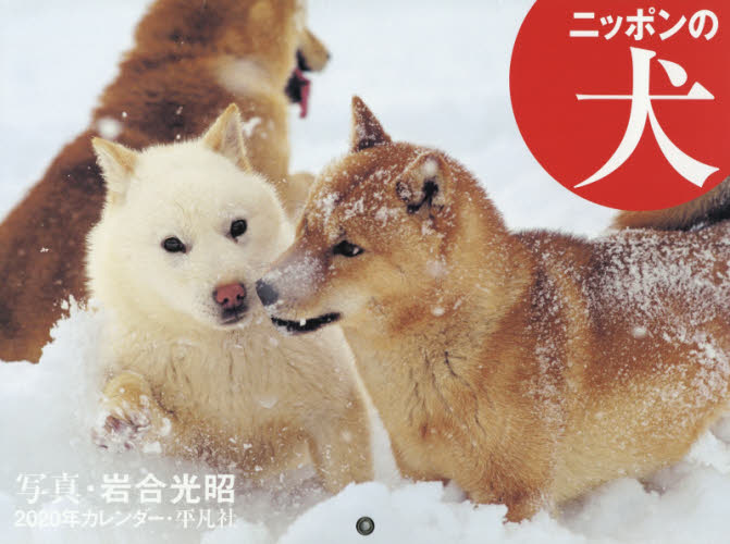 カレンダー　’２０　ニッポンの犬 岩合　光昭　写真 カレンダーの商品画像