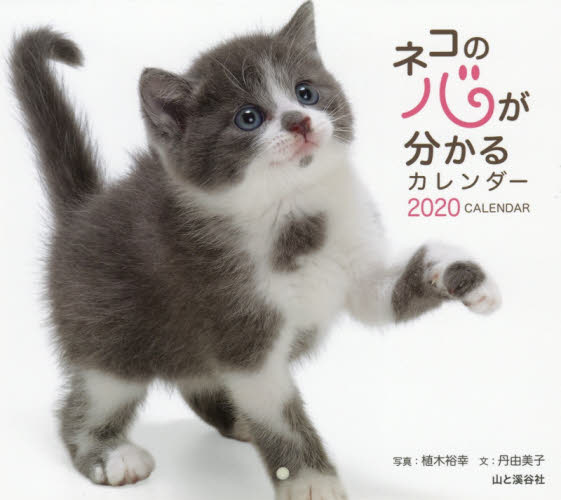 ’２０　ネコの心が分かるカレンダー 植木　裕幸　写真　丹　由美子　文 カレンダーの商品画像