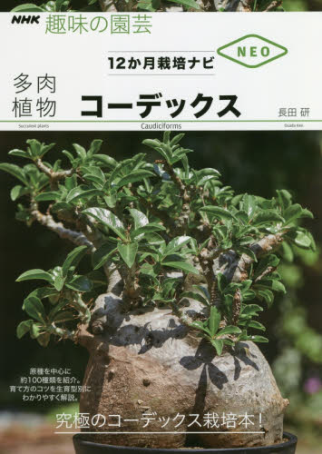 多肉植物コーデックス （ＮＨＫ趣味の園芸　１２か月栽培ナビＮＥＯ） 長田研／著 NHK趣味の園芸テキストの商品画像